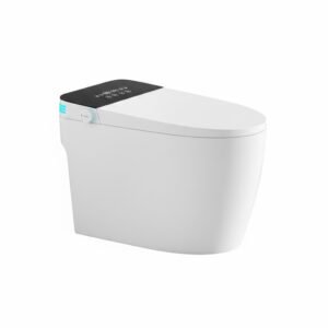 Smart Toilet